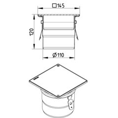 Line Drawing - Rodding eye-No membrane-145